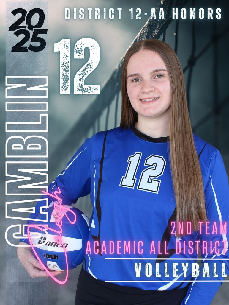Volleyball District Honors Award Winner