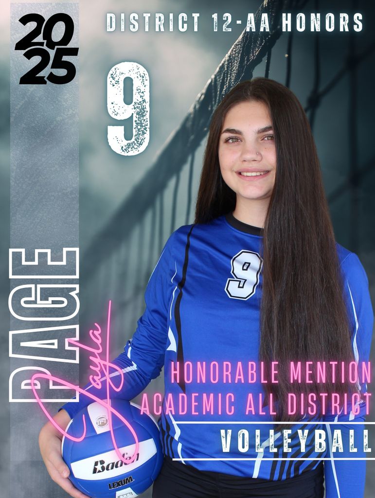 Volleyball District Honors Award Winner
