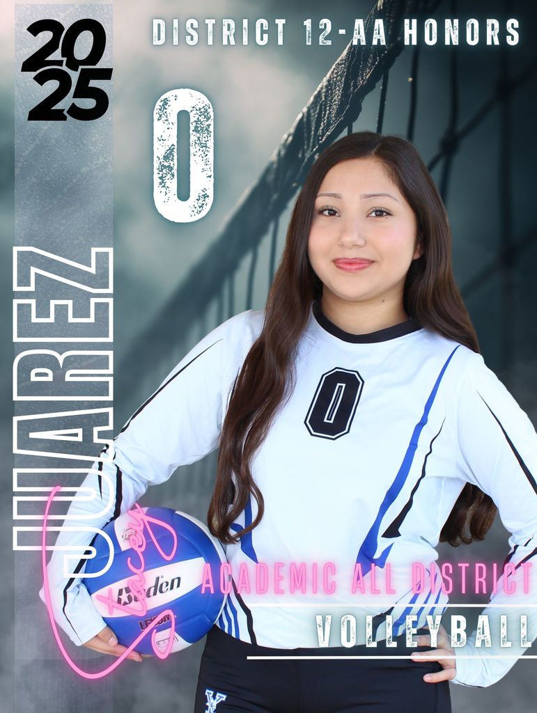 Volleyball District Honors Award Winner