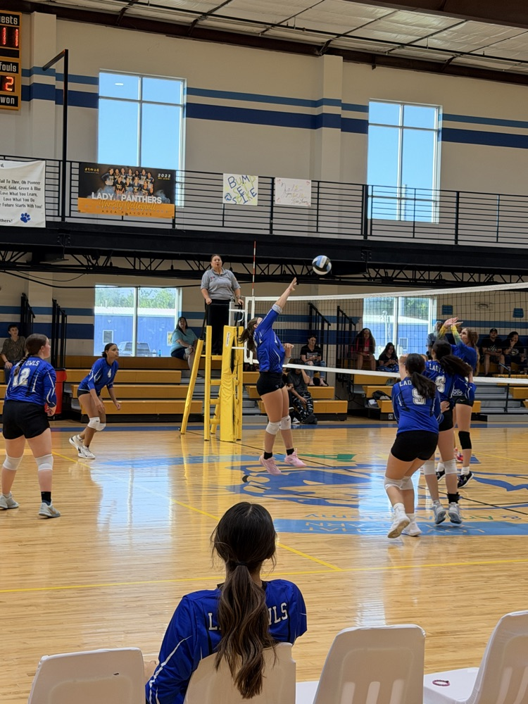 Volleyball Game
