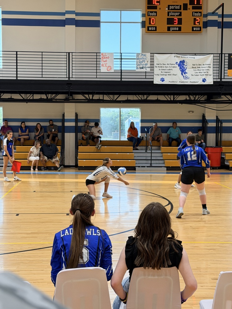 Volleyball Game