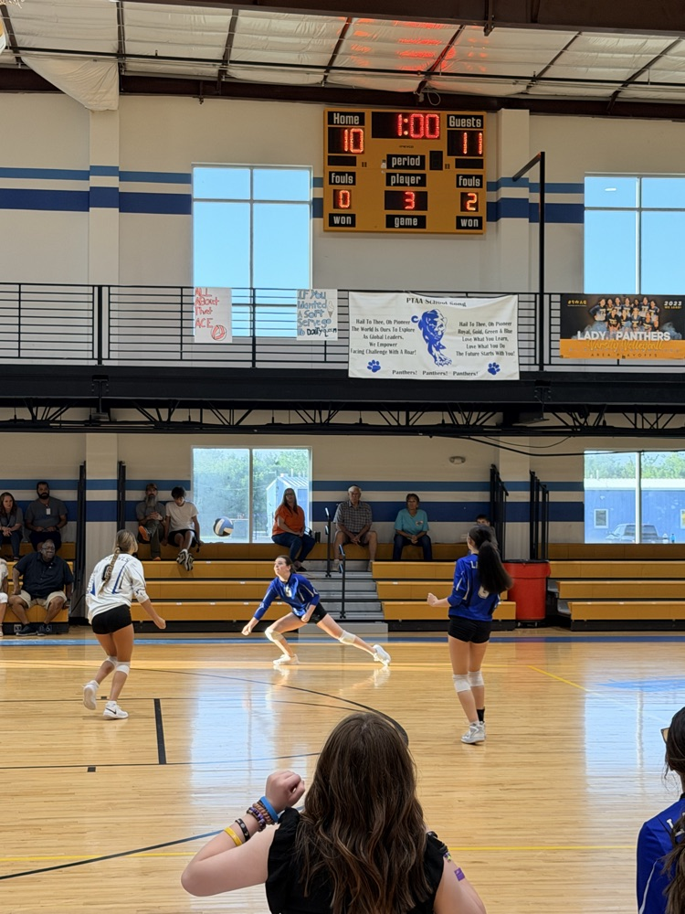 Volleyball Game