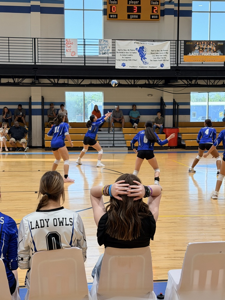 Volleyball Game