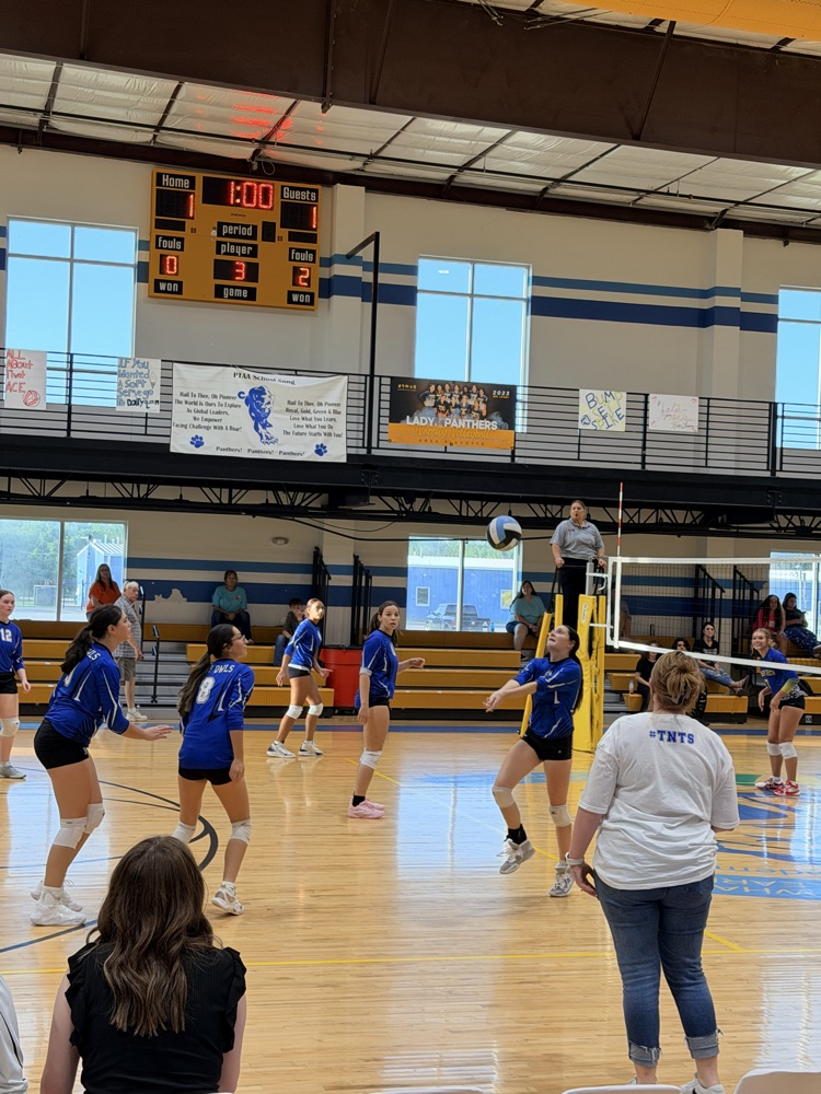 Volleyball Game