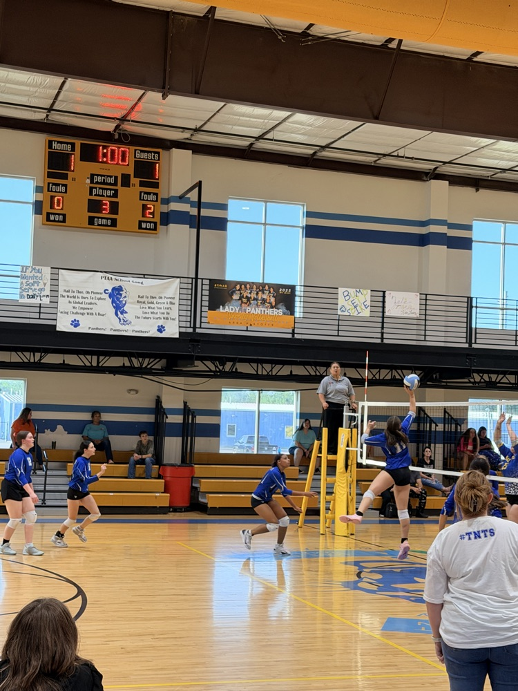 Volleyball Game