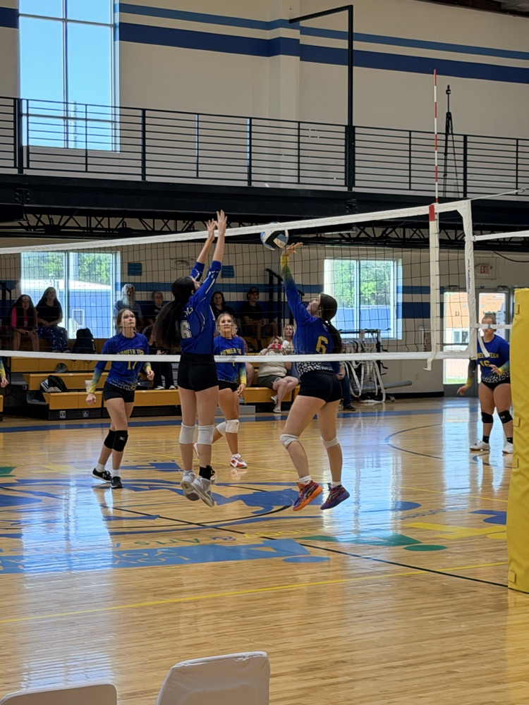Volleyball Game