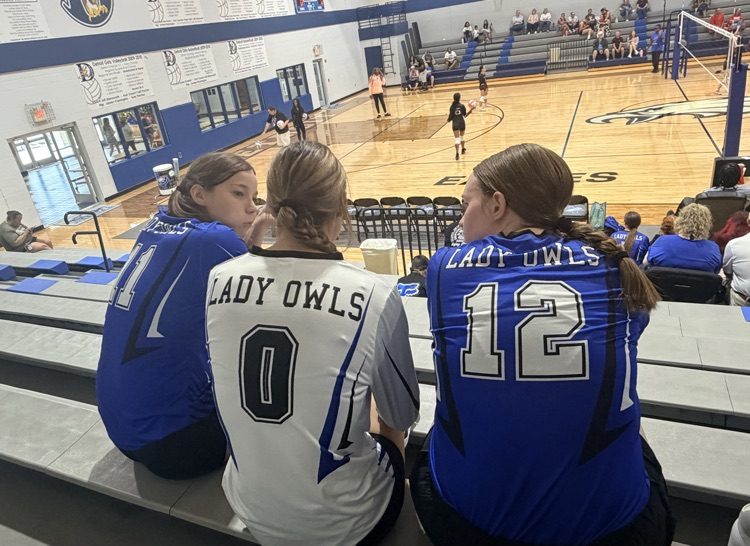 volleyball Team