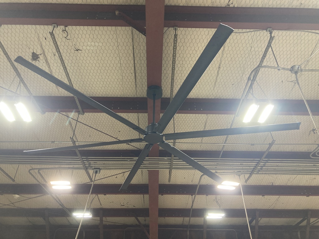fan