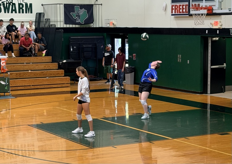 volleyball