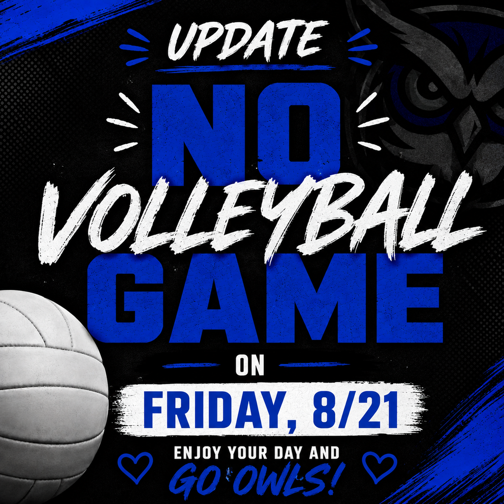 Volleyball Game Update