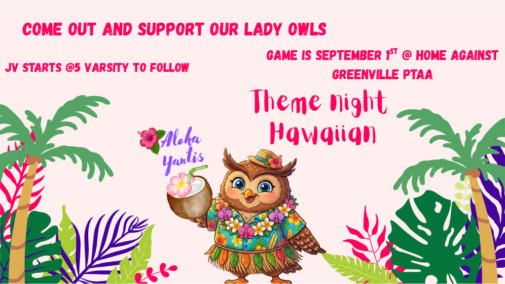 Hawaii Night Volleyball Game