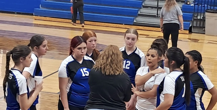 Volleyball team