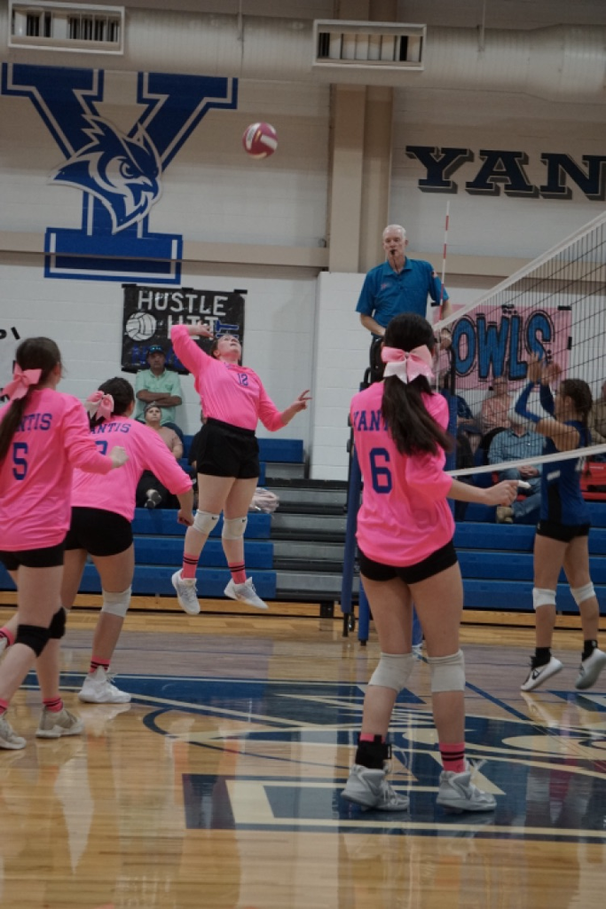 volleyball game