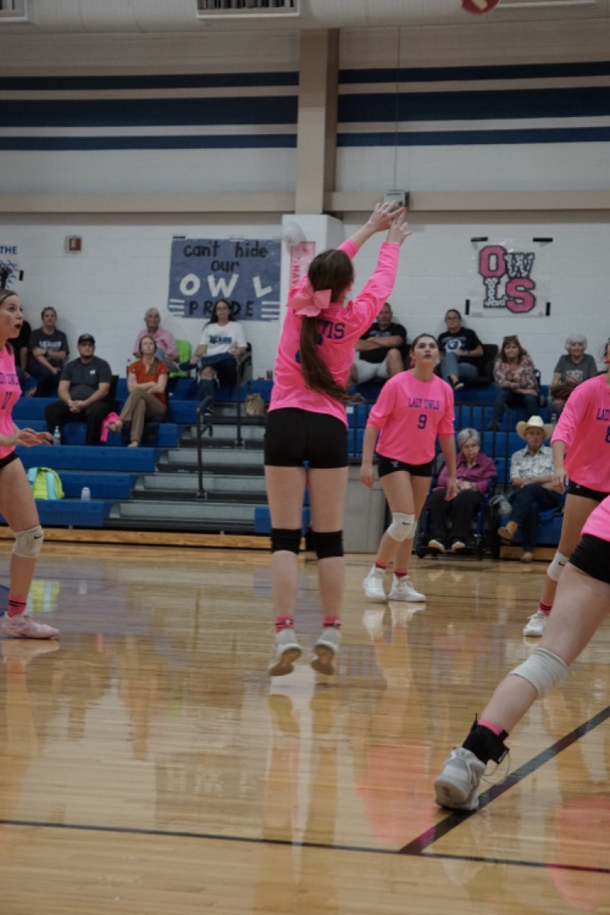 volleyball game