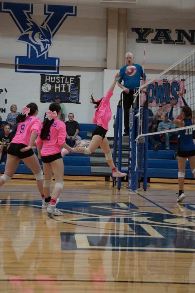 volleyball game