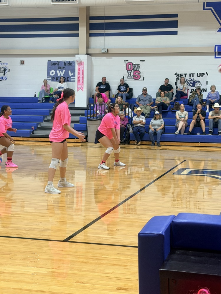volleyball game