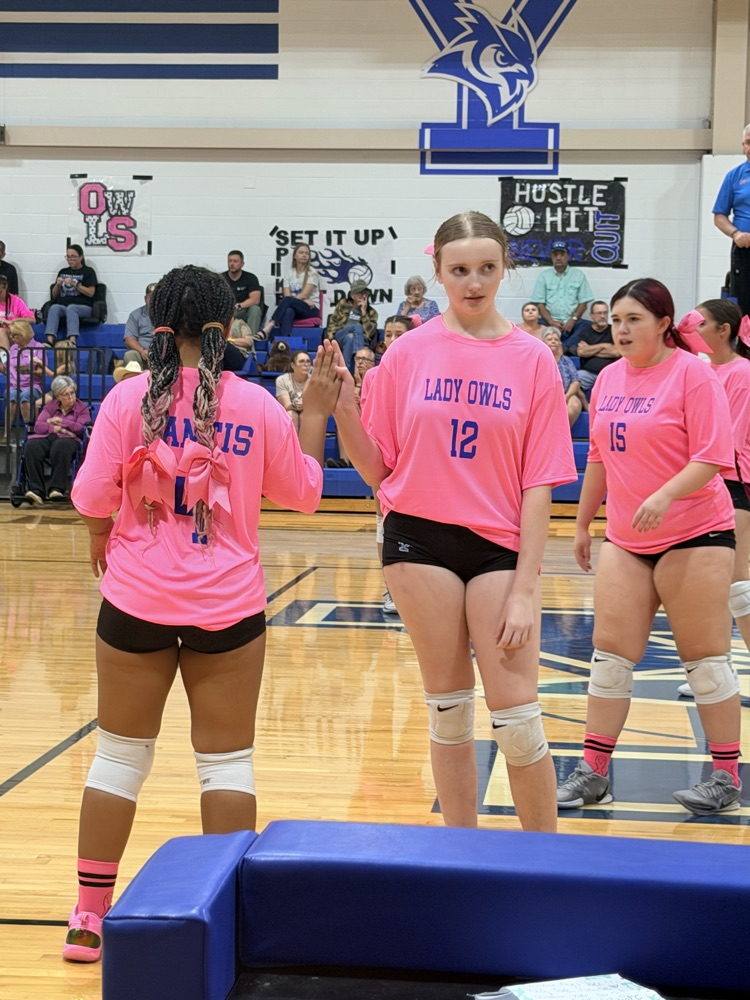 volleyball game