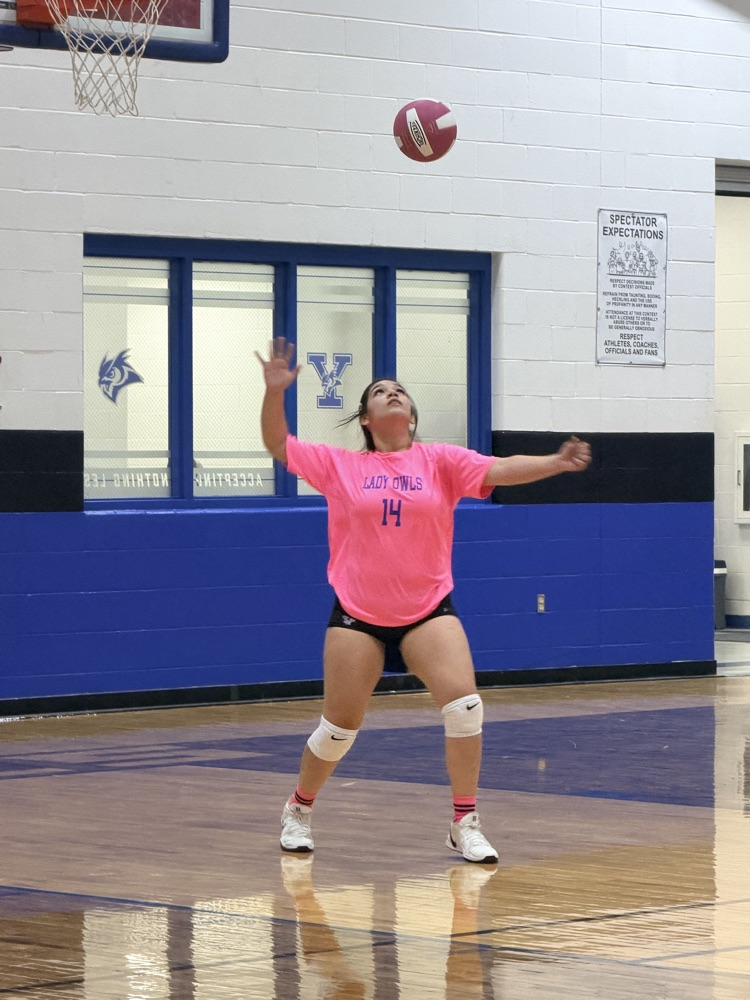 volleyball game