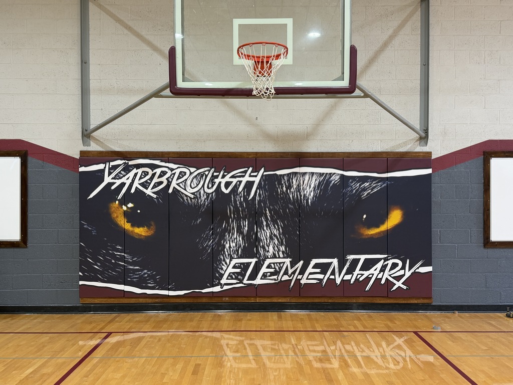 South Gym Wall Pad