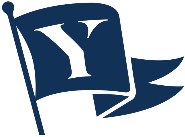 Blue Flag with white Y