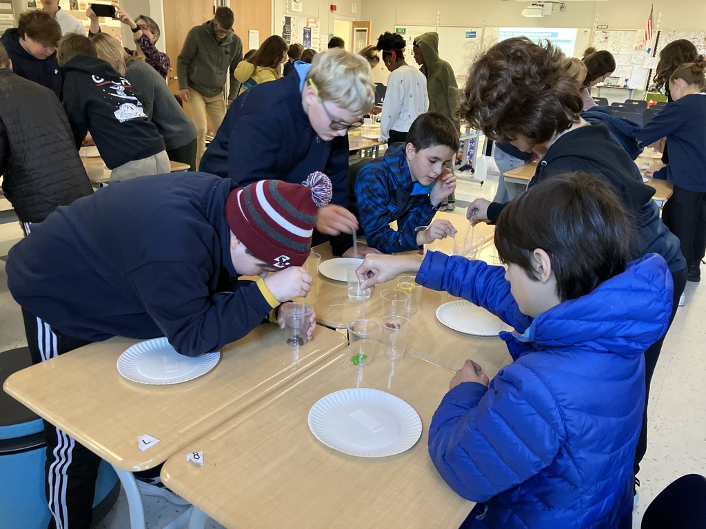 7th-grade students engaging in an experiement on Maine Bioscience Day