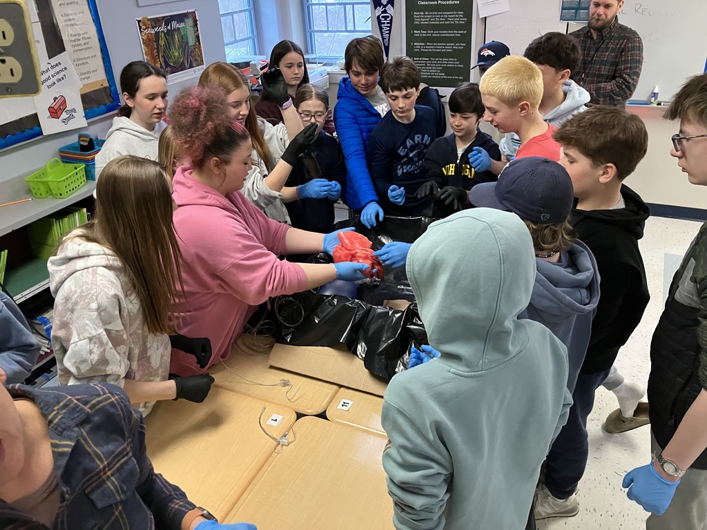 7th-grade students examining a pig heart