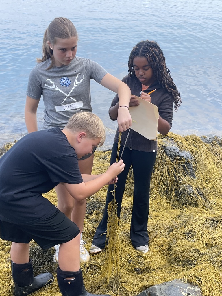 7th grade students studying the growth of rockweed at Madeleine Point