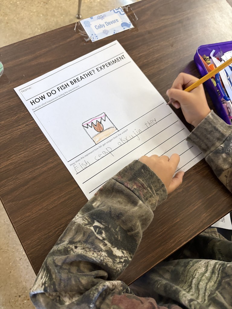 Fish breathing underwater experiment