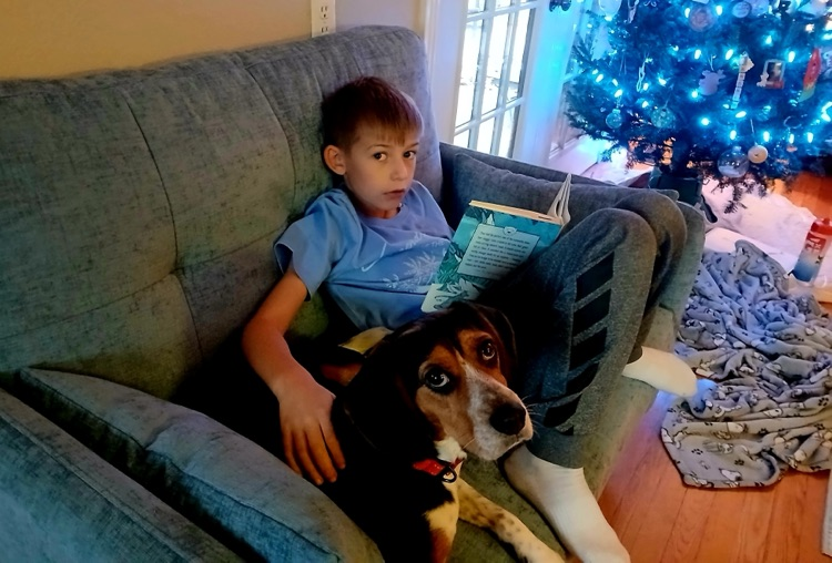 12 days of reading challenge