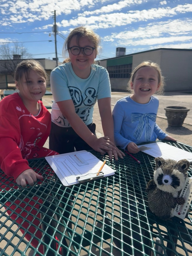 3rd graders studying weather
