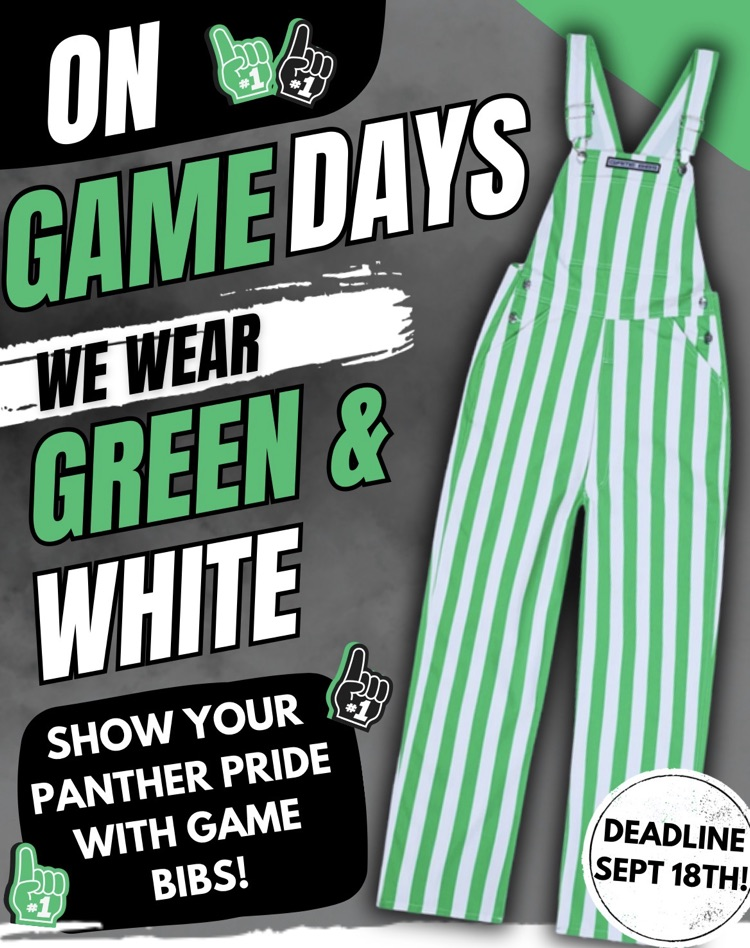 green and white game day bibs flyer