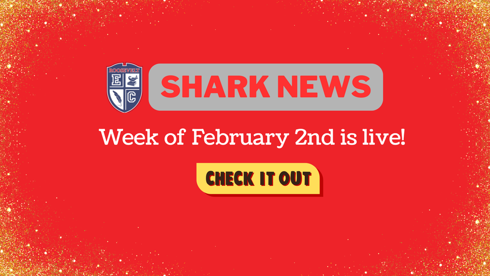 Shark News - Week of February 2, 2026