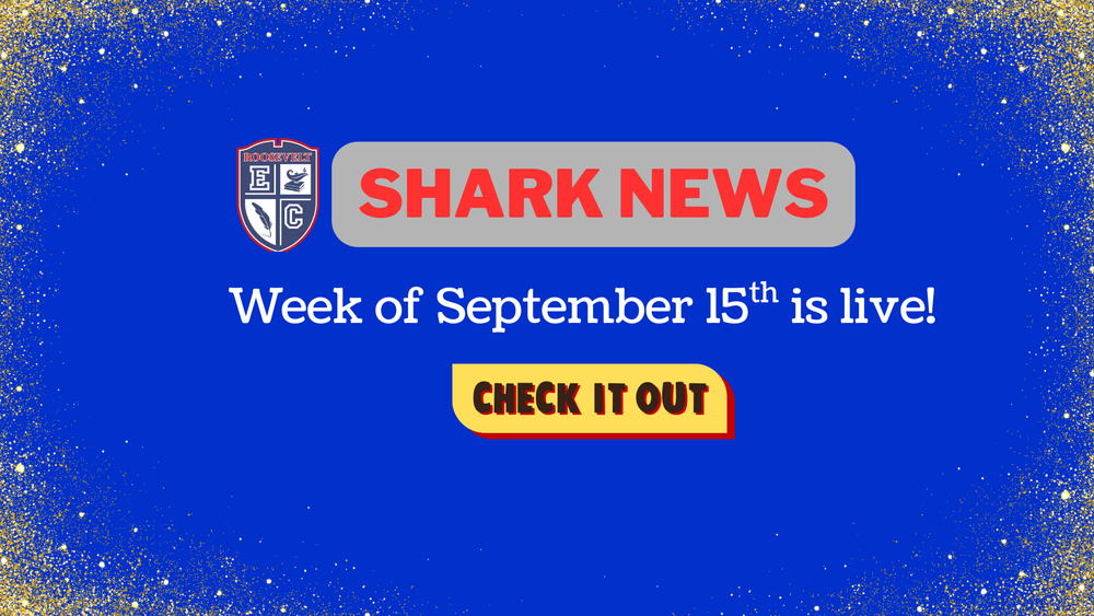 Shark News Week of Sept 15th