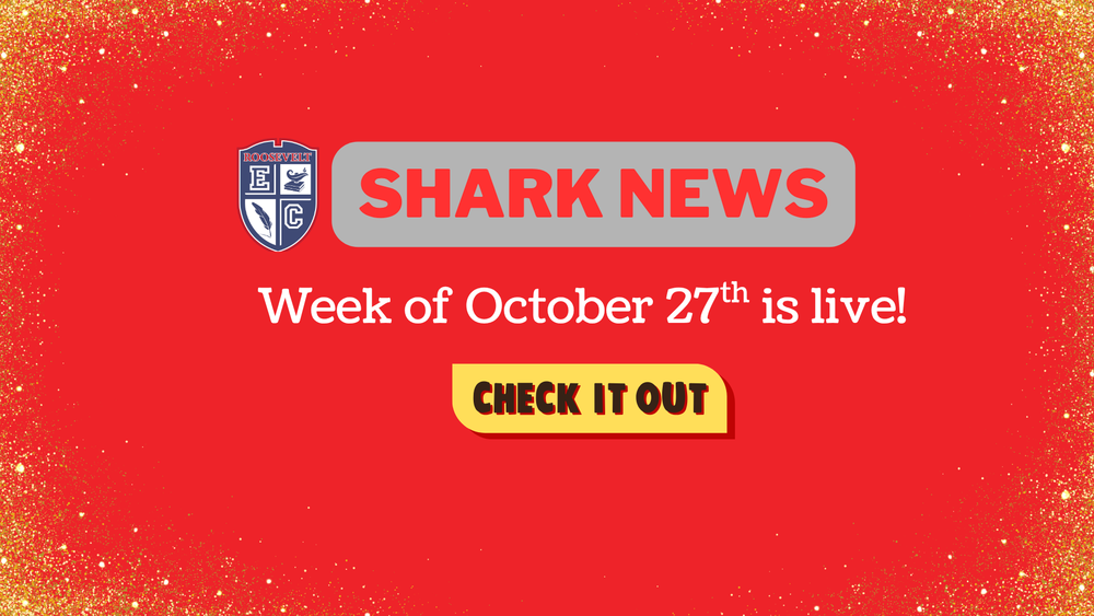 Shark News - Week of October 27th