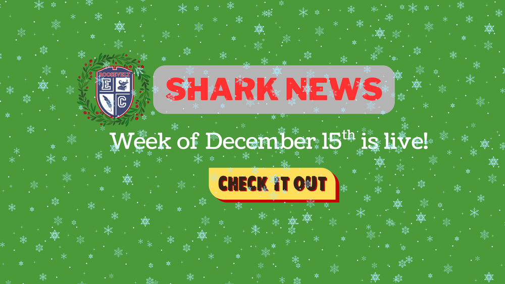 Shark News - Week of December 15th