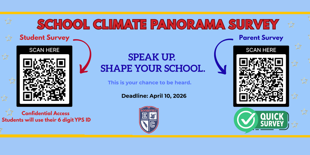 Panorama Survey 2026