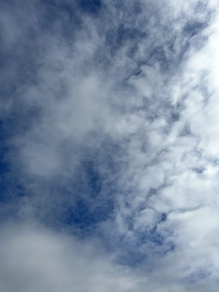 Remember The Sky