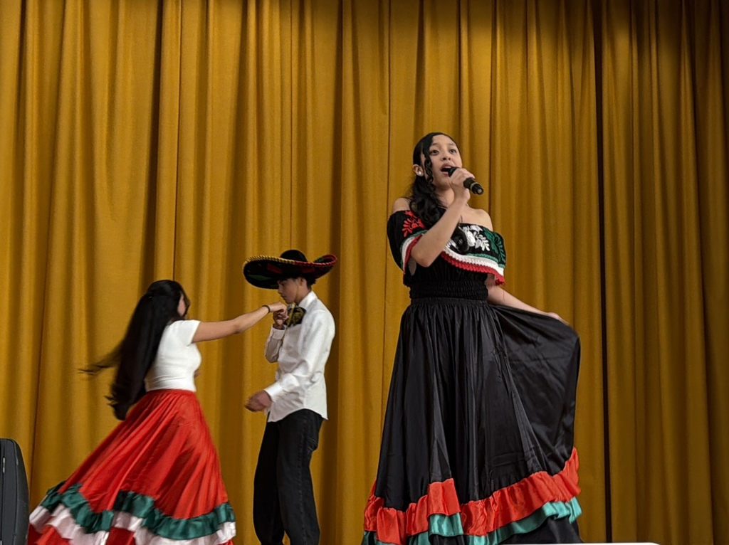 Cinco de Mayo 4