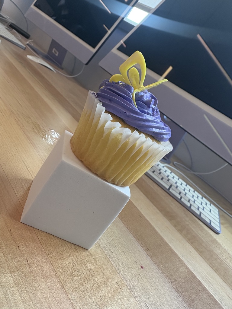 Advanced Photogarphy cupcake