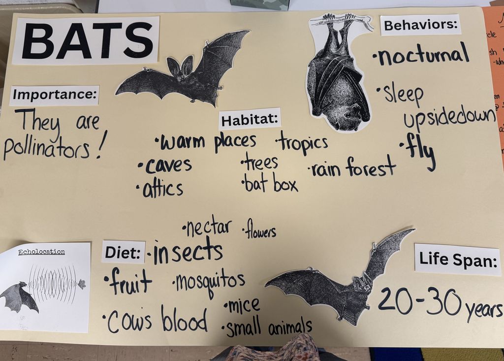 Science Camp