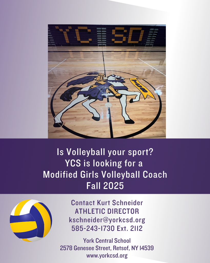 Mod Girls Volleyball coach July 2025