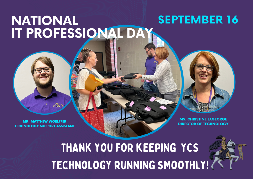 IT Professional DAy