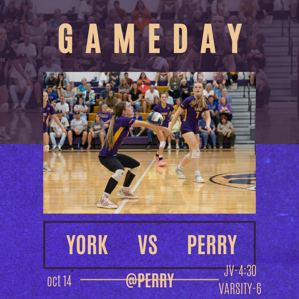 Volleyball York Vs. Perry October 14