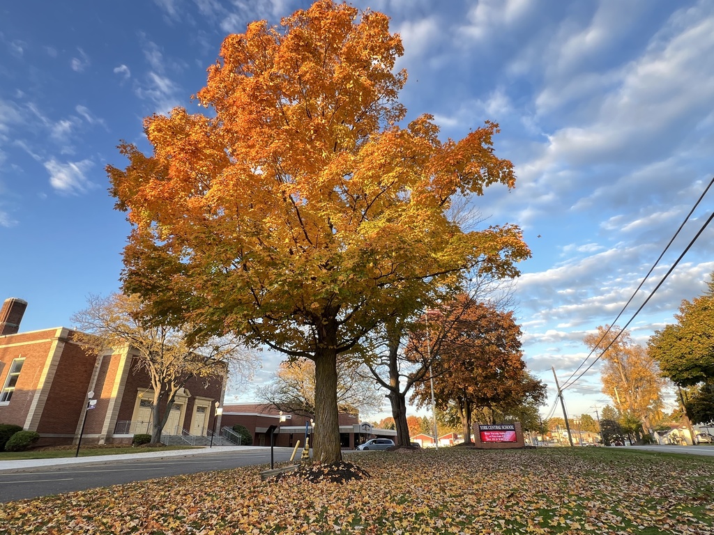 York Central School front tree