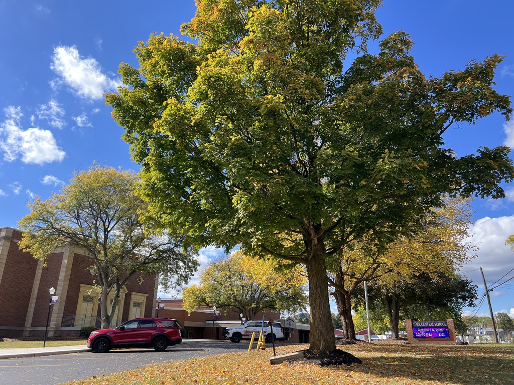 York Central School front tree