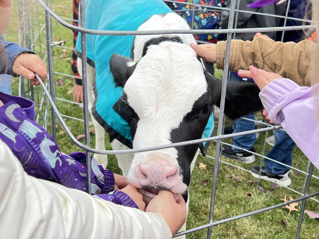 Ameson Dairy Farm visit to elementary school