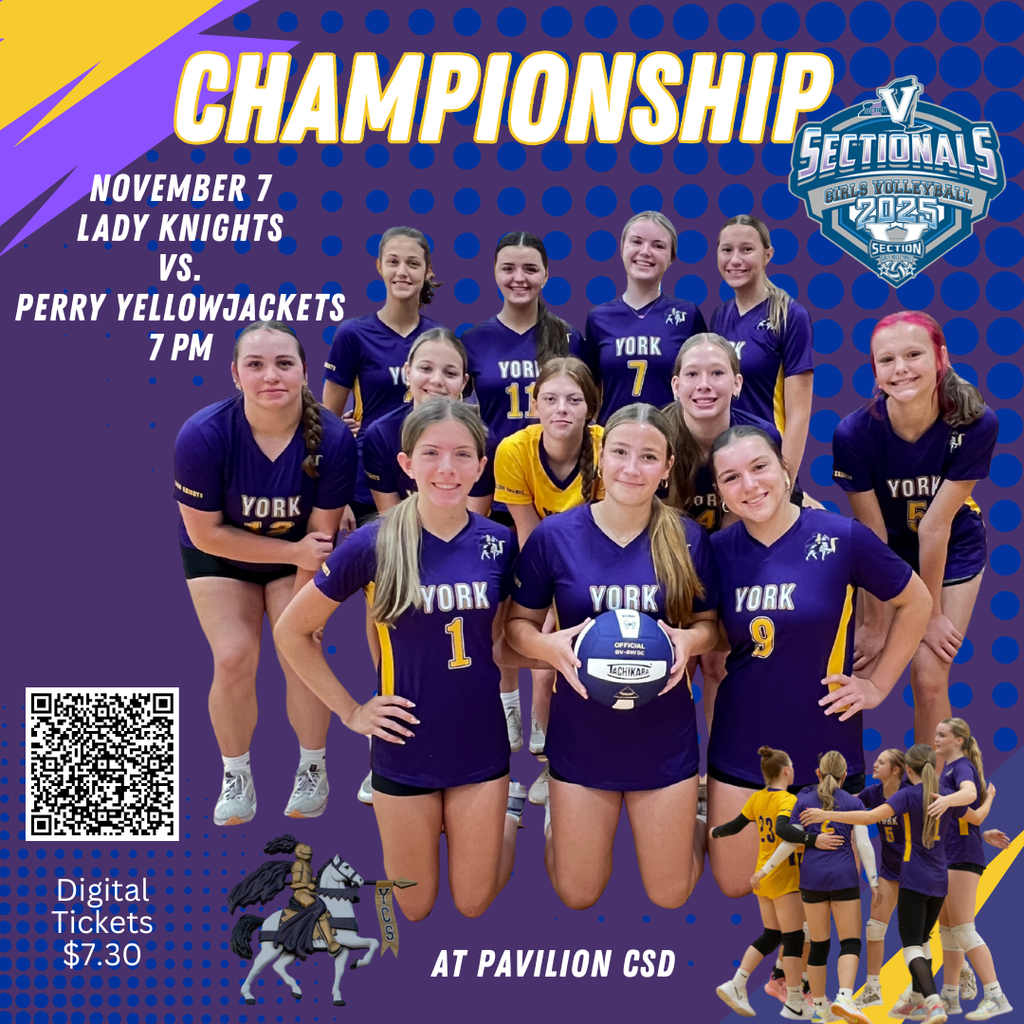 Girls Varsity Volleyball semi final sectional (4)