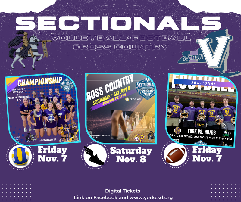 Sectional November7 & 9 2025
