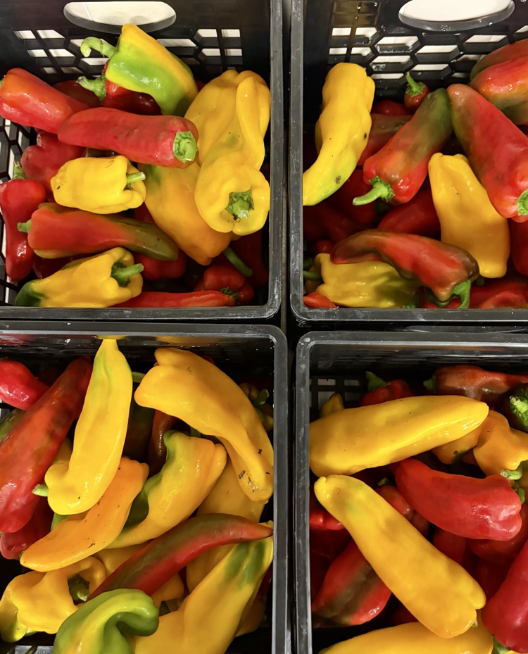 local peppers!