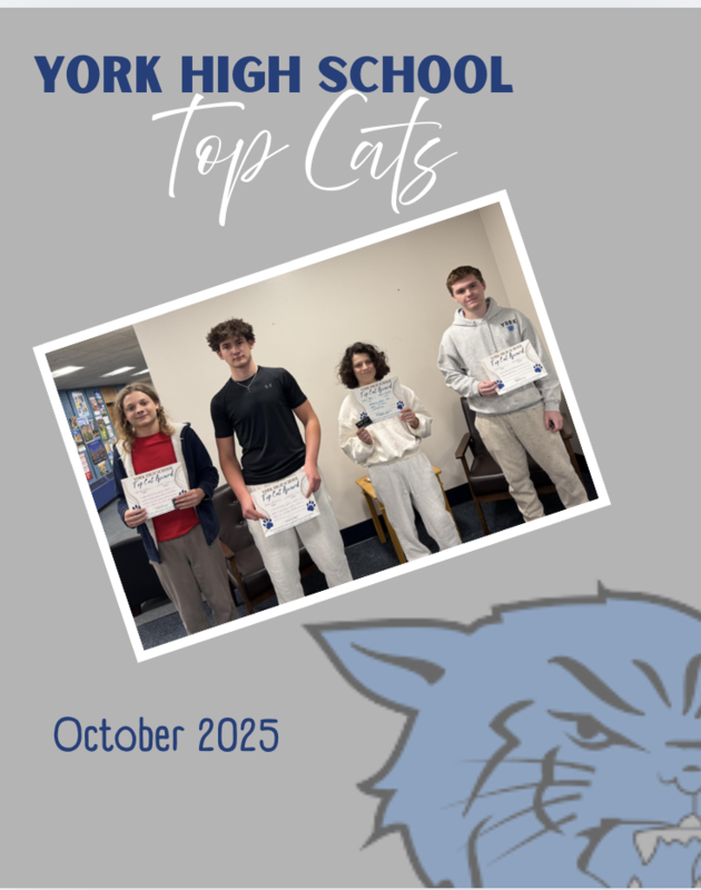 Top Cats